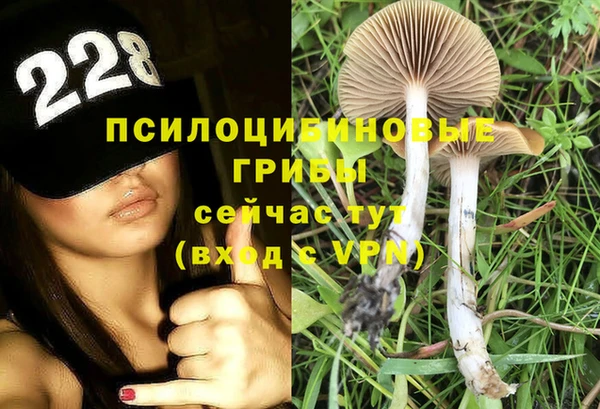 соль ск Сатка